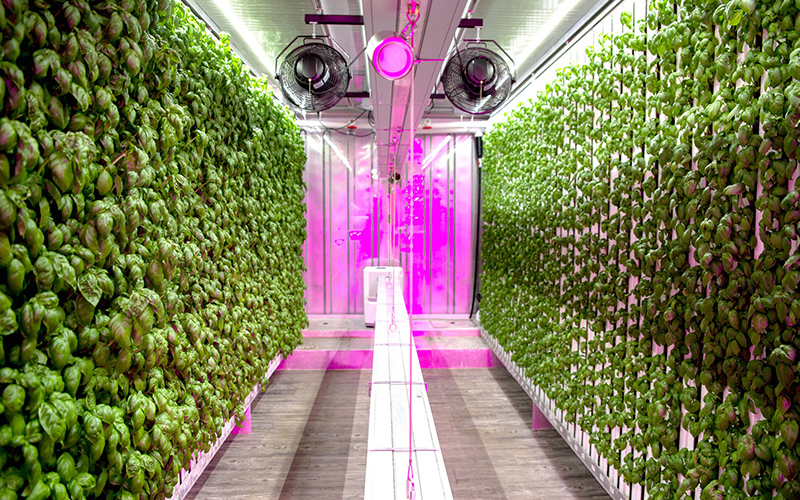 Vertical Farming: Infinite Possibilities Brought by Limited Space