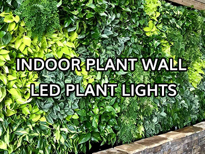 Indoor Plant Wall LED Plant Light Lighting Solution