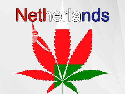 Why Does the Netherlands Allow You to Grow Cannabis at Home