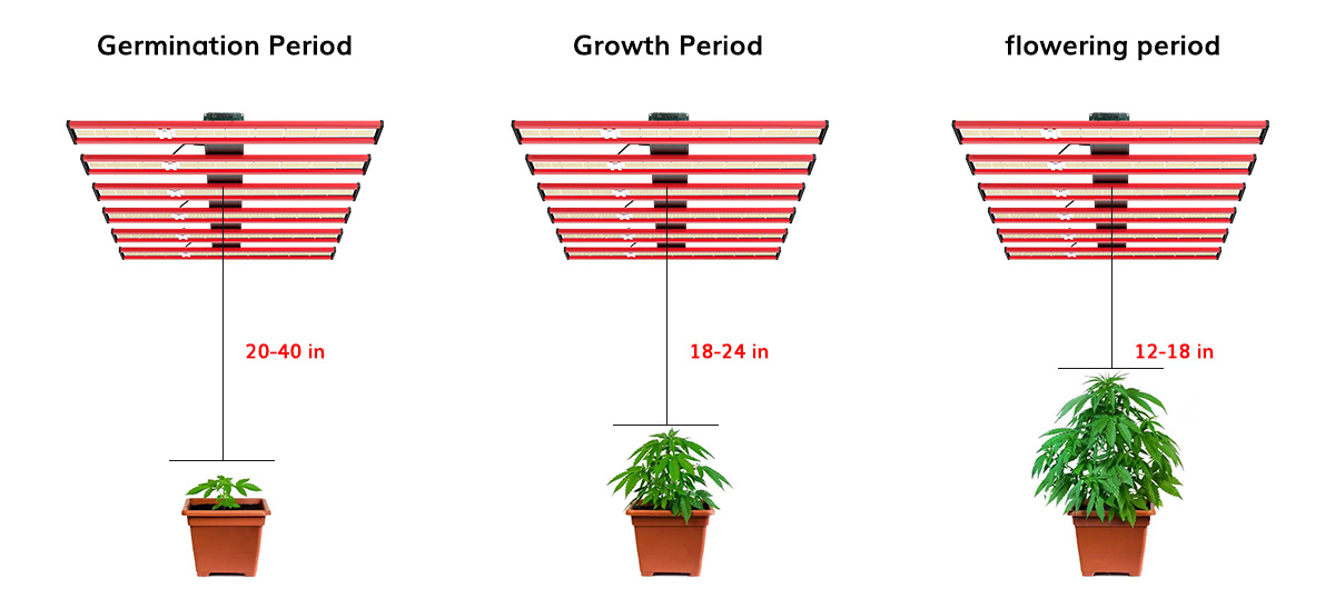 Growth stage and hanging distance