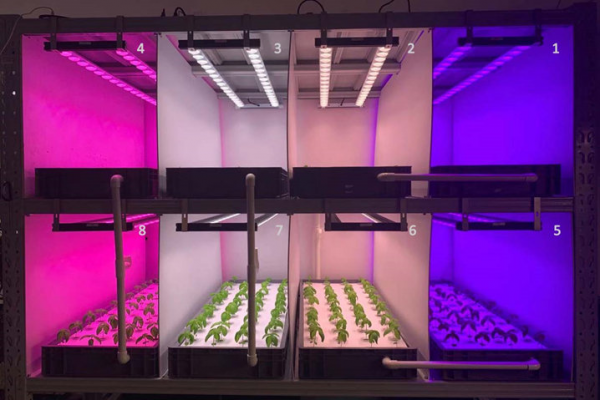 Don’t be fooled by the word of “full spectrum” when choosing LED grow lights