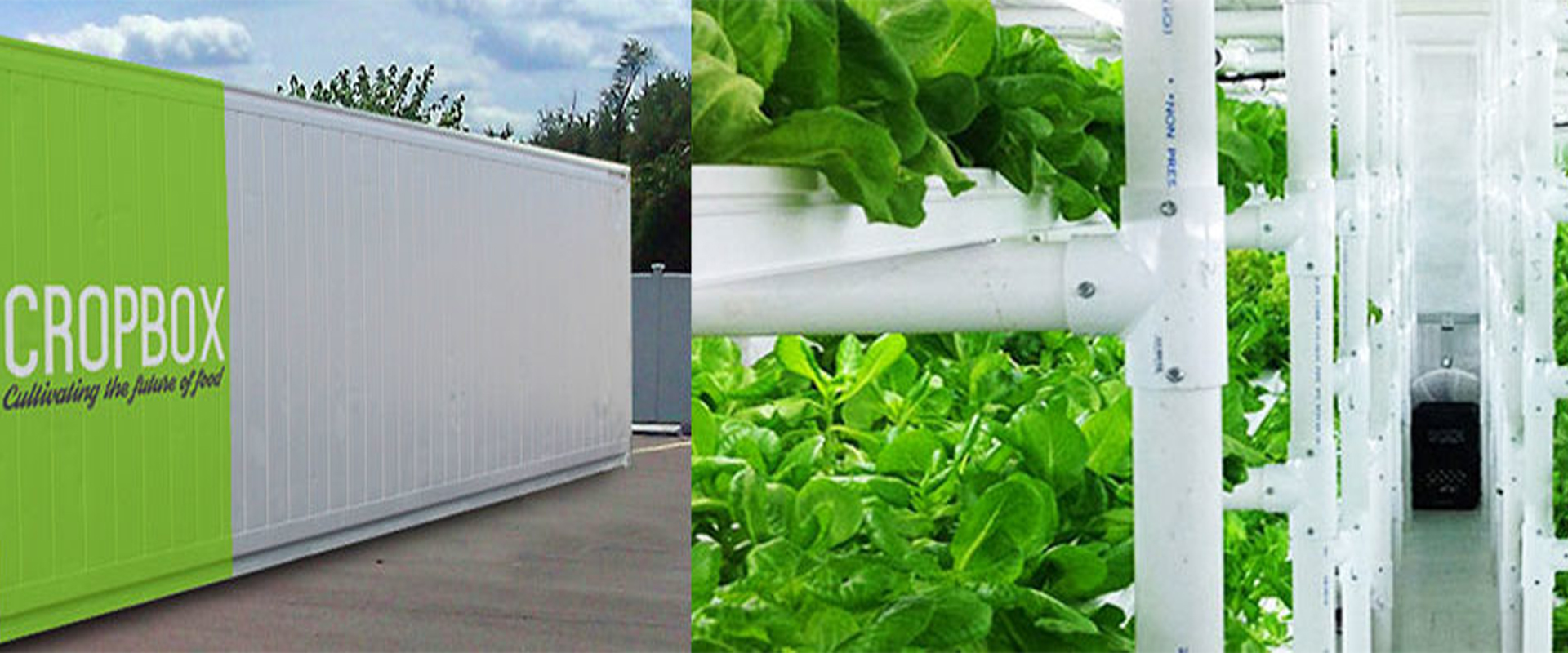 Solution For Container Gardening