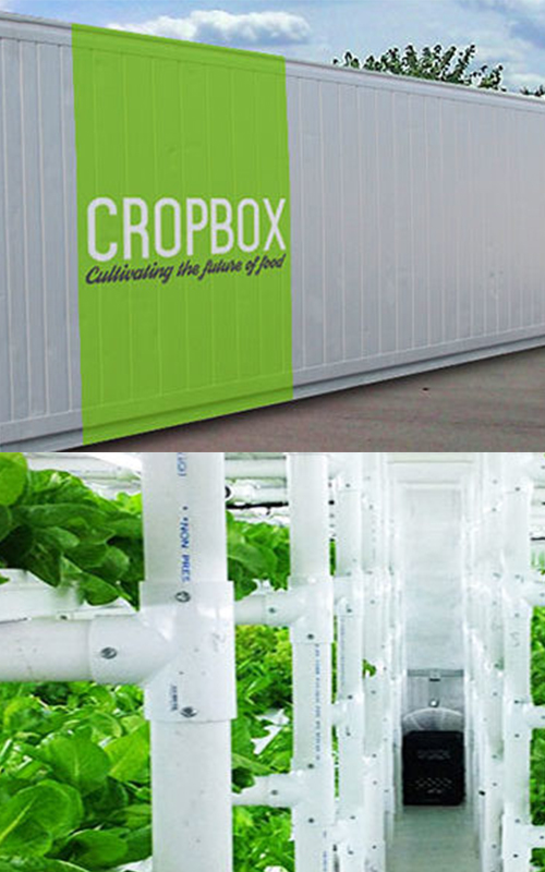 Solution For Container Gardening