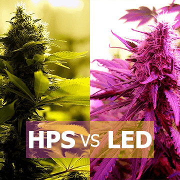 Is LED Planting Light Better Than HPS?