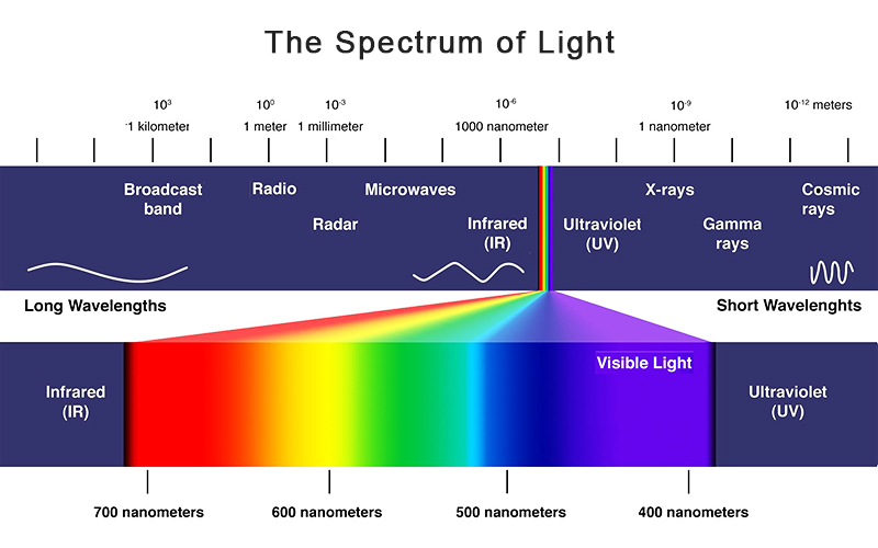 How to choose the best full spectrum LED grow lights for your crops?