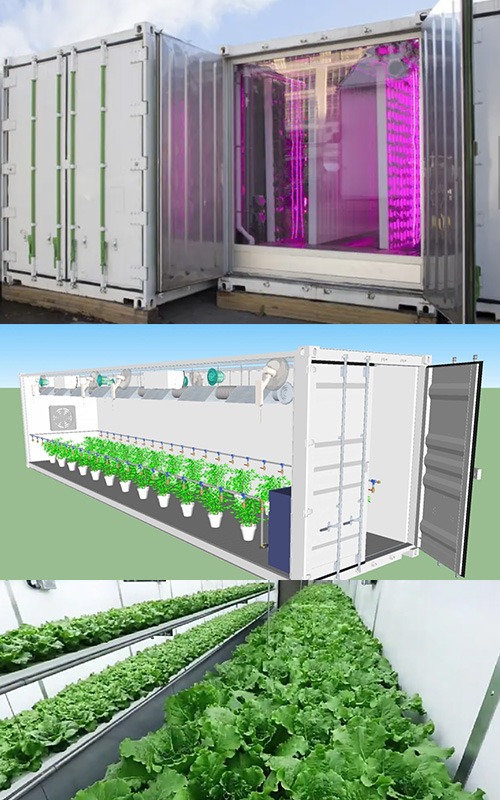 Container Farm