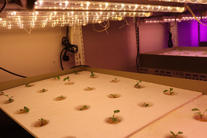 Some Secrets Behind the Performance of Full-spectrum LED Grow lights