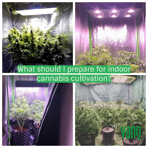 What should I prepare for indoor cannabis cultivation?