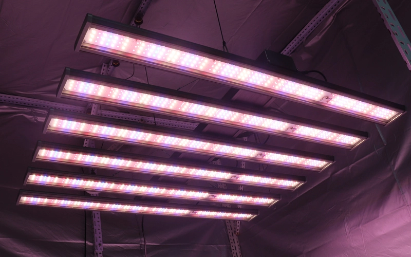 Marijuana LED grow lights for indoor cannabis growing space: Tips to choose the best one