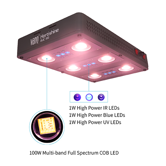 Best Full spectrum LED Grow Lights 2020