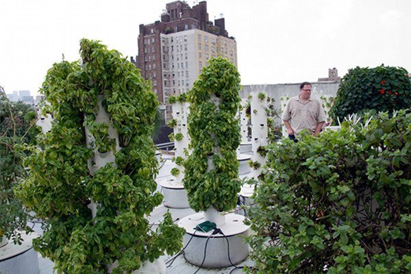 Utilize hydroponic system to build roof agriculture