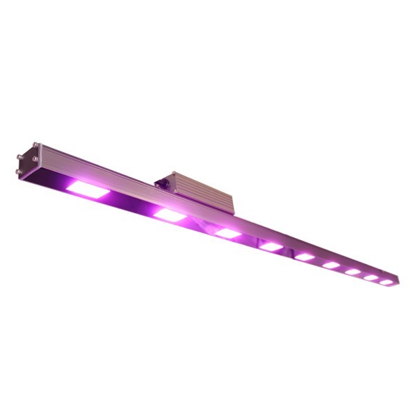 Red Blue LED Grow Lights