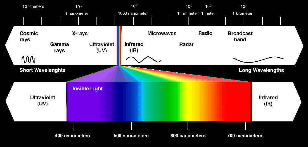 The Relationship Of Light And Plant Growing