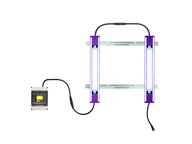 First Choice of Flowering Light for Efficient Supplementary Light