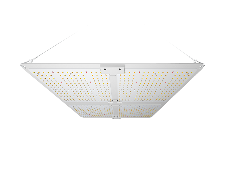 400W Cannabis Grow Samsung LED