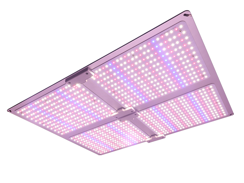 400W Cannabis Grow Samsung LED