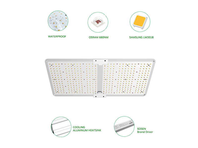 200W Cannabis Seedling Light Designed for Grow Tent Cultivation