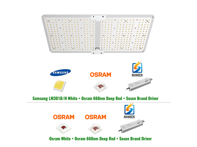 200W Cannabis Seedling Light Designed for Grow Tent Cultivation