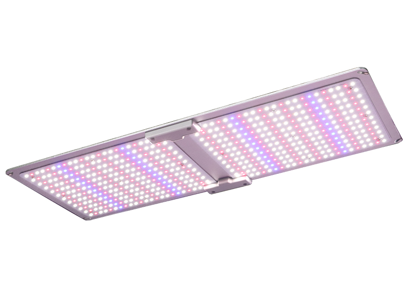 200W Cannabis Seedling Light Designed for Grow Tent Cultivation