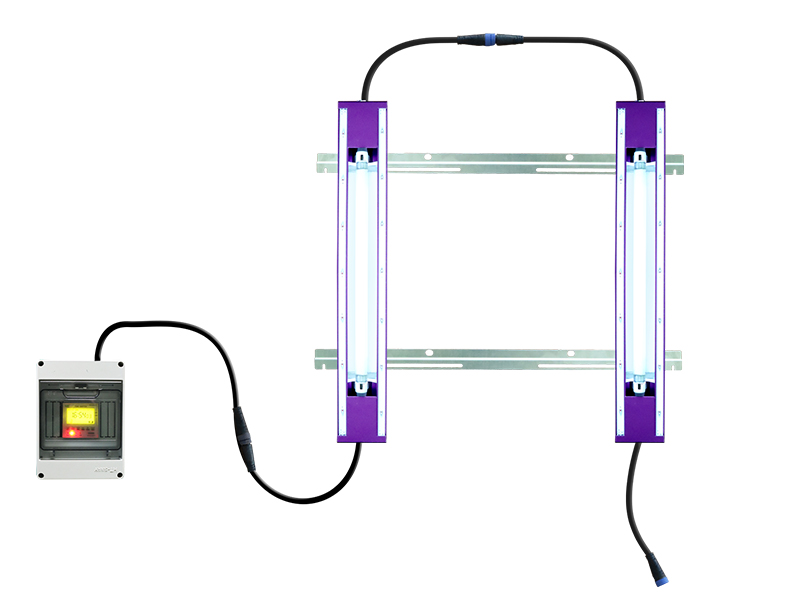 First Choice of Flowering Light for Efficient Supplementary Light