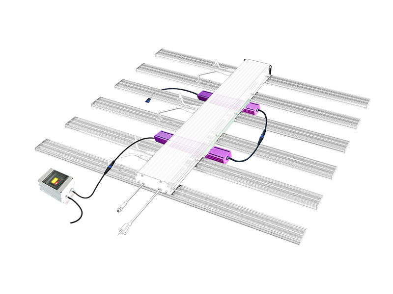 First Choice of Flowering Light for Efficient Supplementary Light