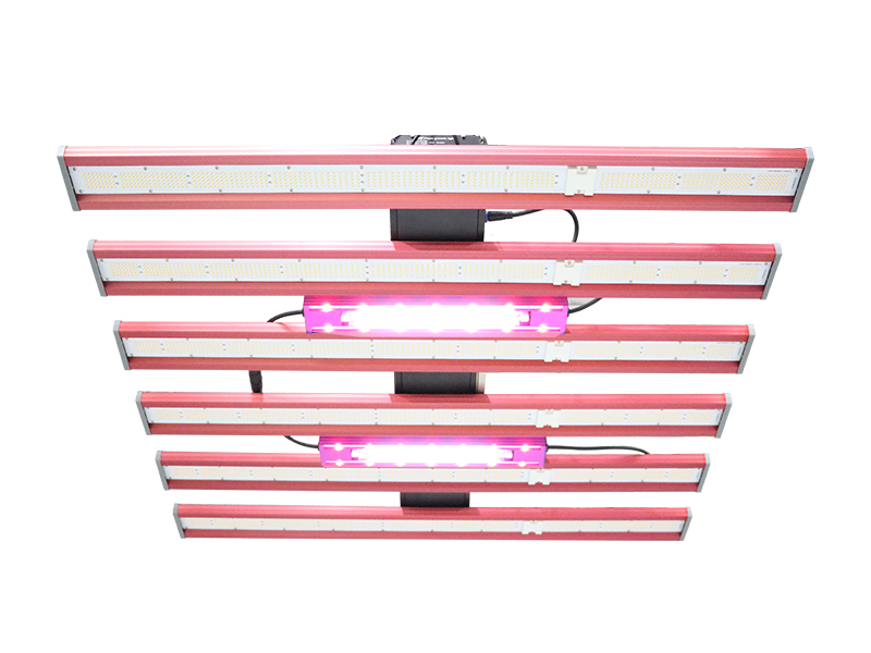 First Choice of Flowering Light for Efficient Supplementary Light