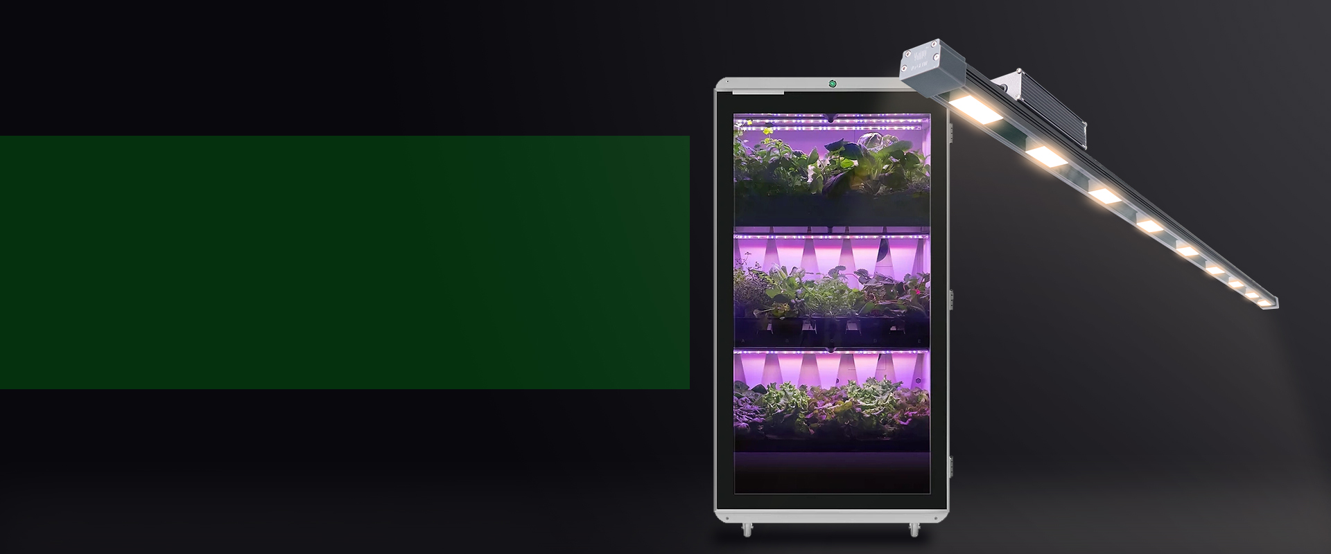 Hydroponic lights