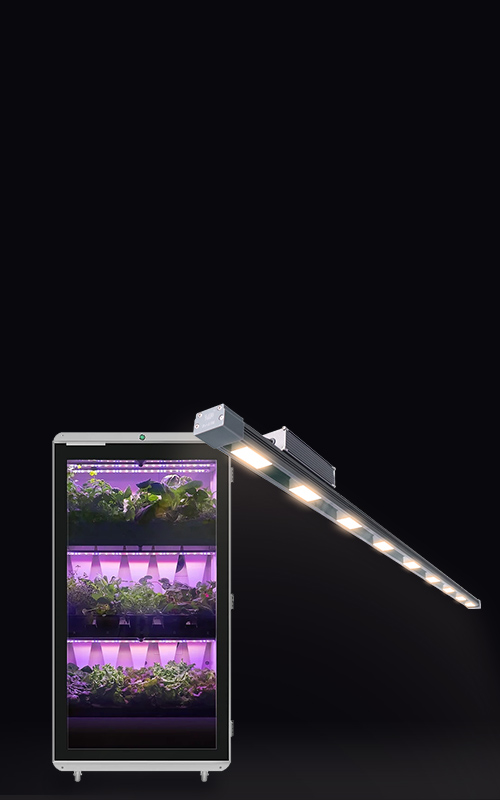 Hydroponic lights