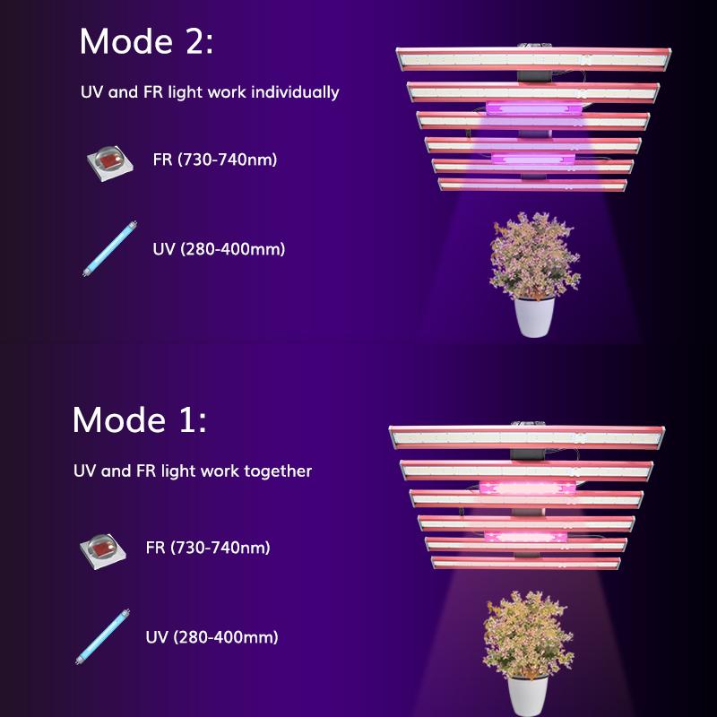 First Choice of Flowering Light for Efficient Supplementary Light