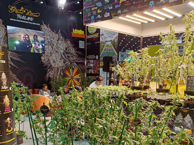 VANQ’s wonderful journey at the South African Cannabis Exhibition: Innovation leads the future