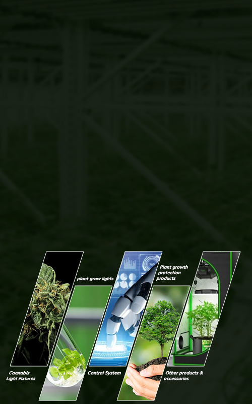 Pioneer of smart agriculture solutions