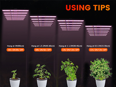 Why is the VANQ cannabis seedling lamp the key to efficient cannabis cultivation?