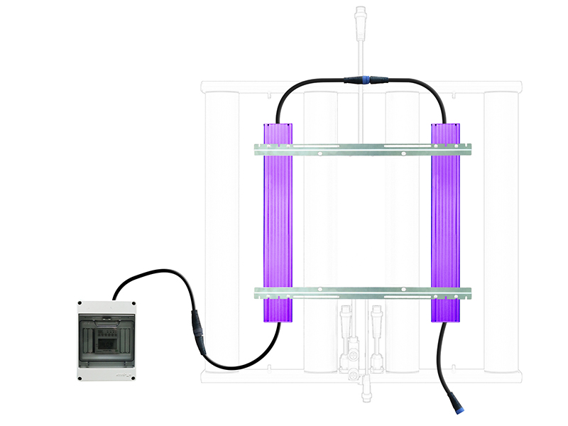 First Choice of Flowering Light for Efficient Supplementary Light