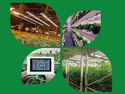 Want to double your multi-layer vertical farming yields? How to choose a grow light?
