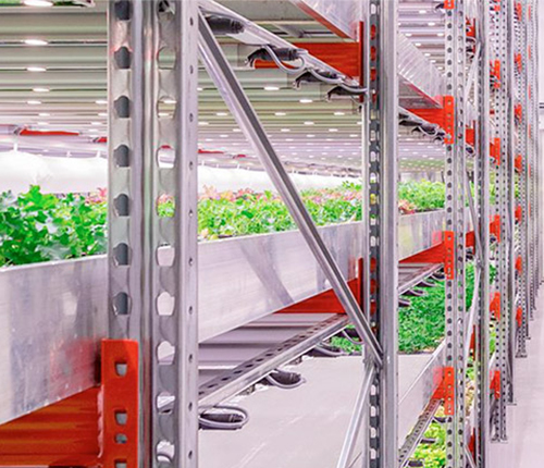 Indoor cultivation 