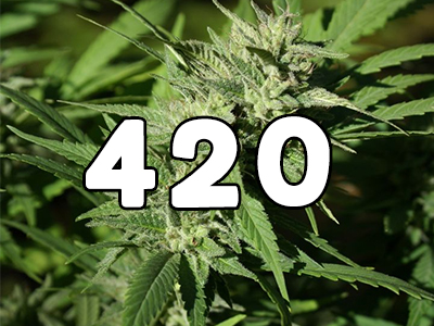 What does 420 mean in cannabis culture?