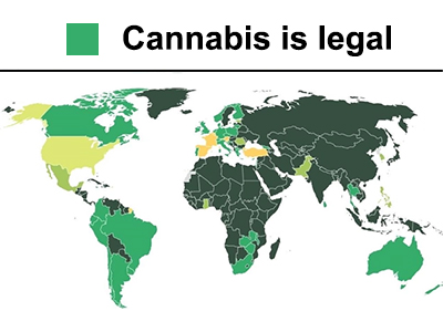 Which countries have legalized cannabis