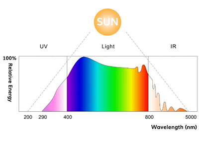 What effects do different spectra have on plants