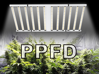 How to Determine the PPFD Needs of Your Indoor Plants