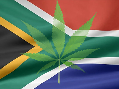 How many cannabis plants can you grow in South Africa