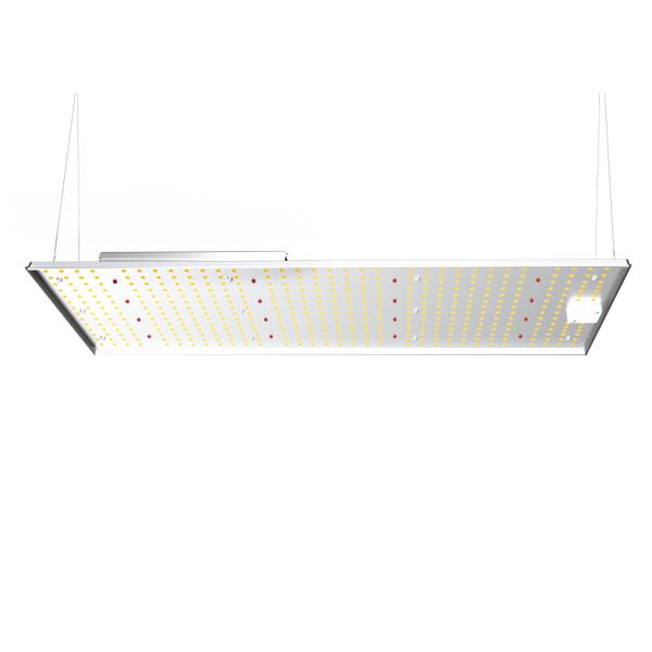 200W Quantum Board Grow Light