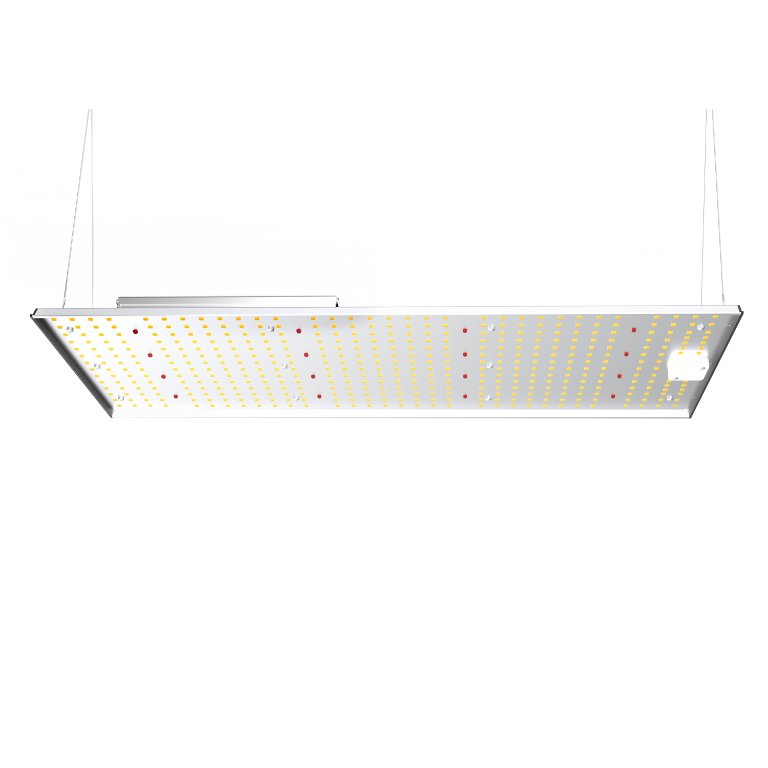 200W Quantum Board Grow Light