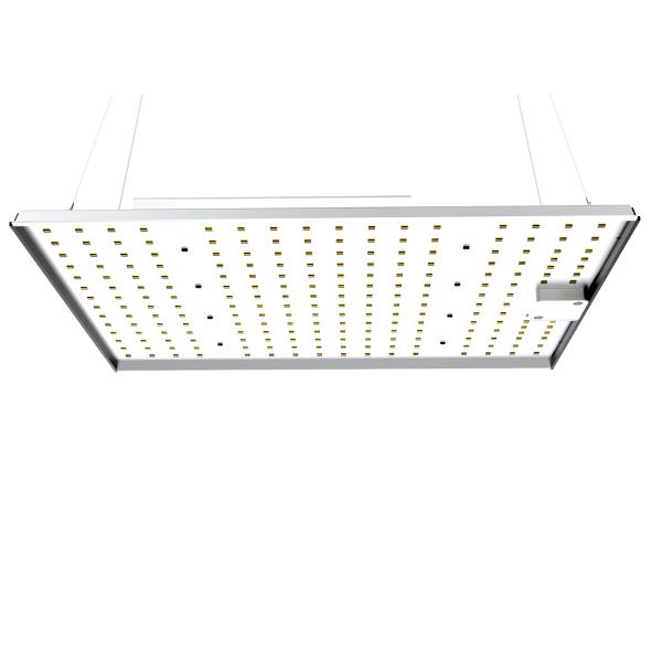 120W Quantum Board Grow Light