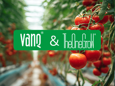 About VANQ & TheOneGrow