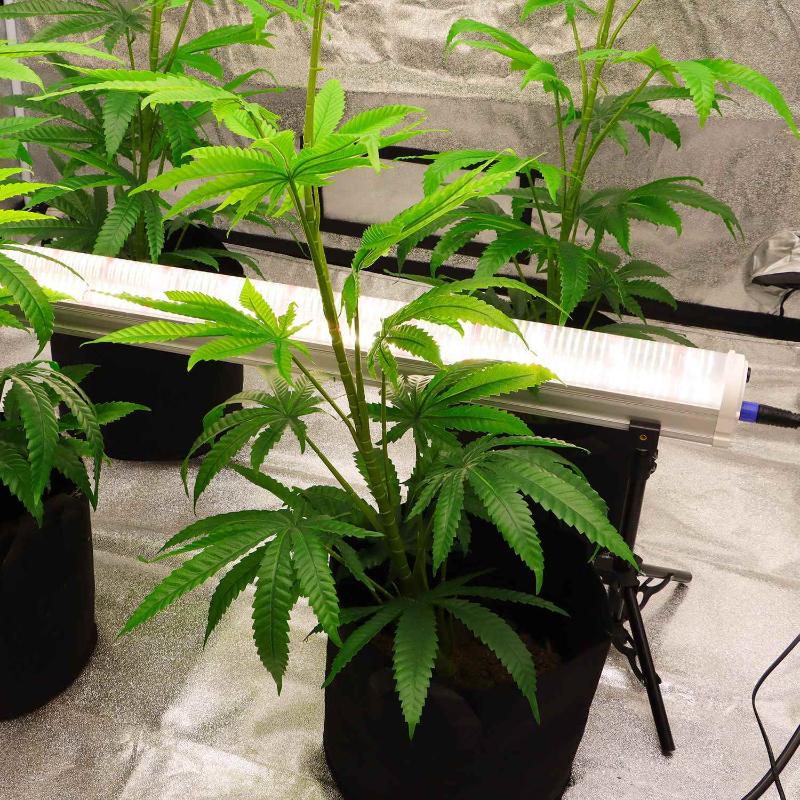 120W Under Canopy Lights