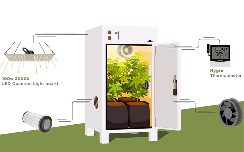 Growing marijuana indoors