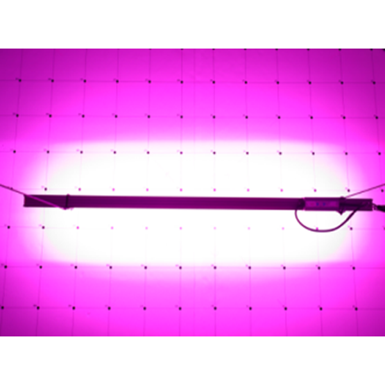 10007.png