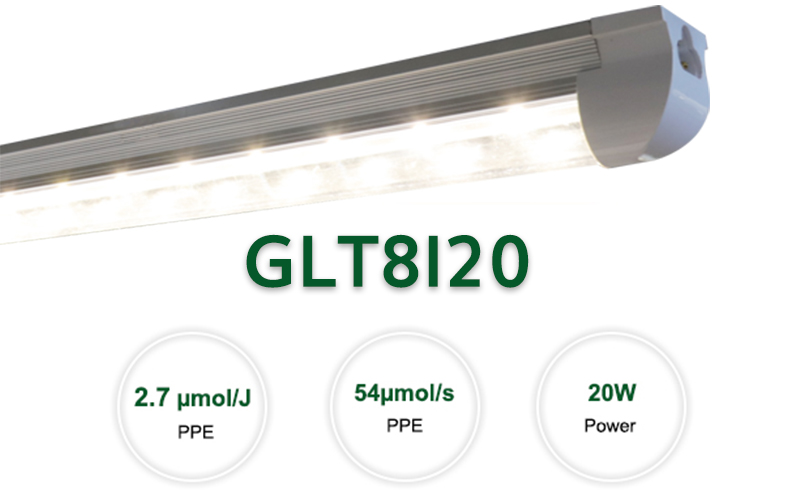 GLT8I20.jpg