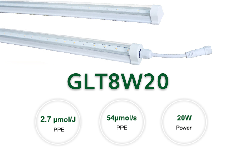 GLT8W20.jpg