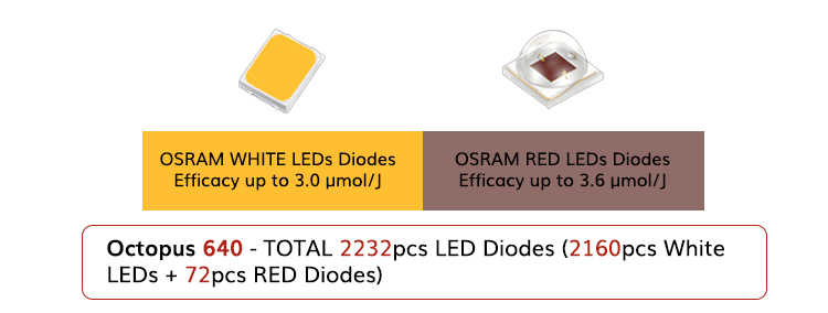 op-640.jpg